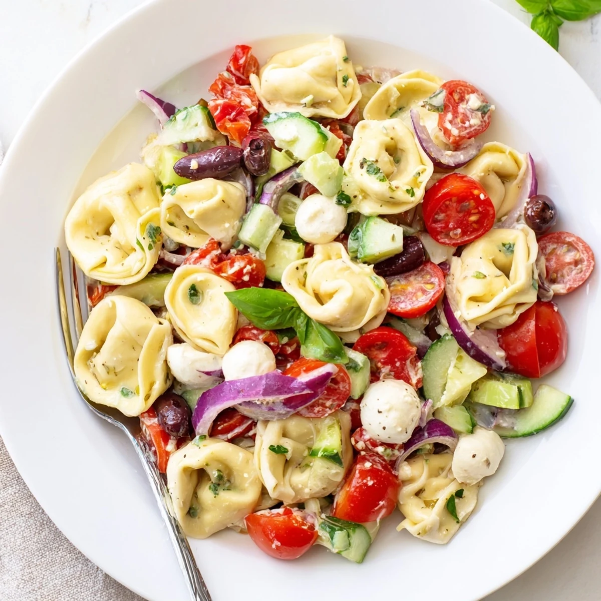 Colorful Tortellini Pasta Salad with crunchy cucumber and salty olives, ready to serve
